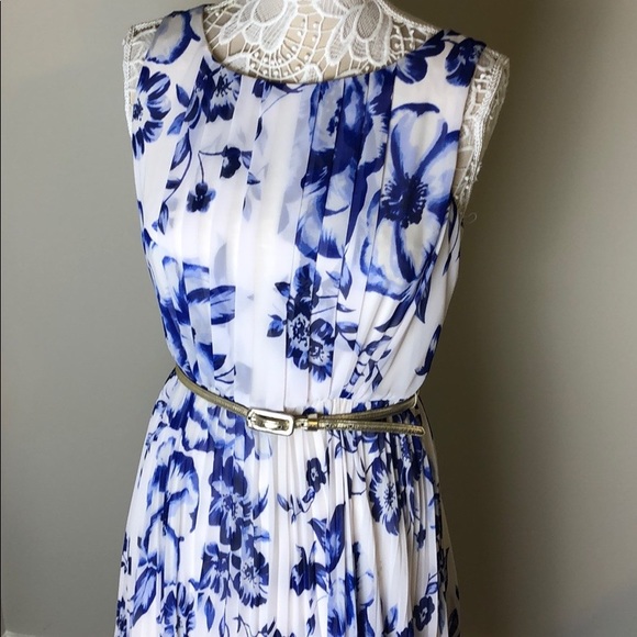 Eliza J Pleated Floral Chiffon Maxi 